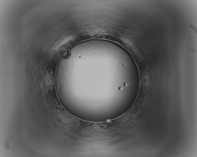X0000103451063200809191742