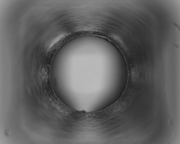X0000103451064200809191742