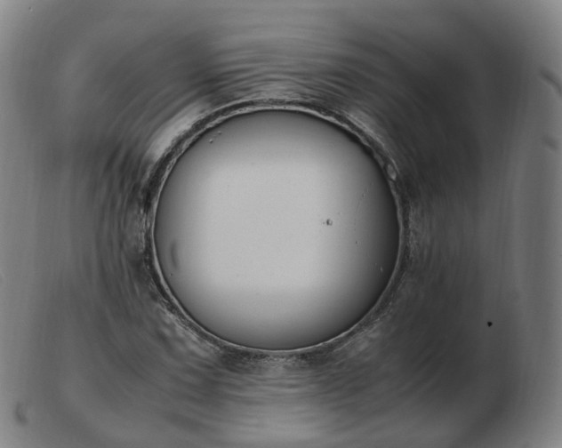 X0000103451067200809191742