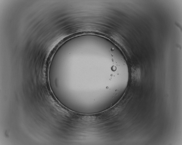 X0000103451068200809191742