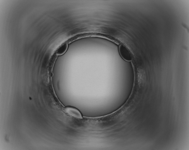 X0000103451069200809191742