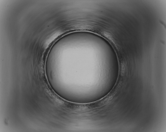 X0000103451071200809191742