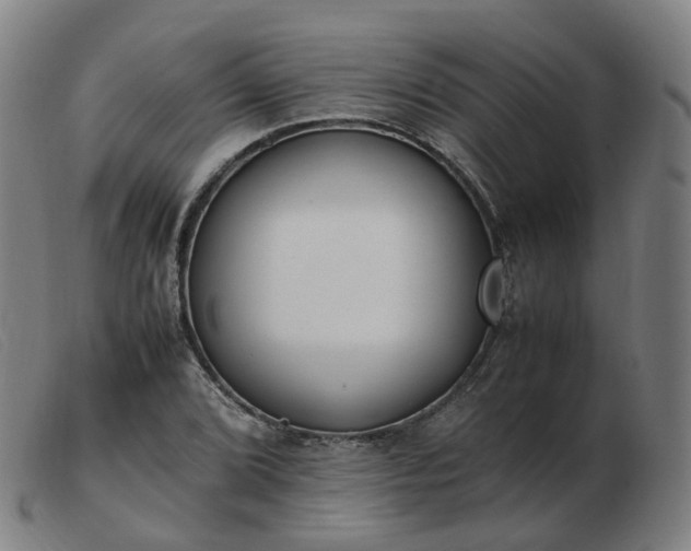 X0000103451072200809191742