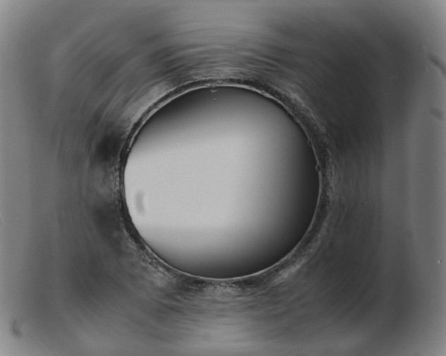 X0000103451073200809191742