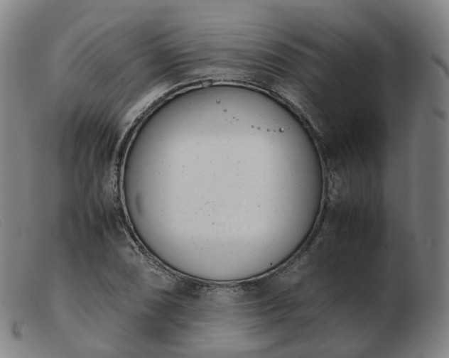 X0000103451074200809191742