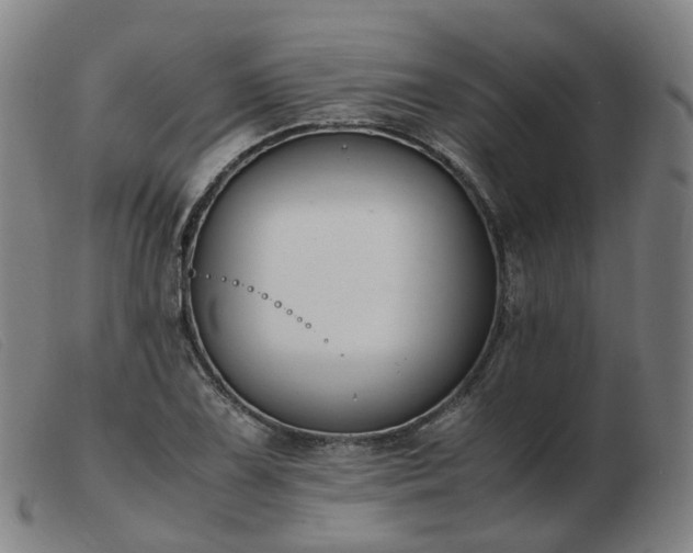 X0000103451075200809191742