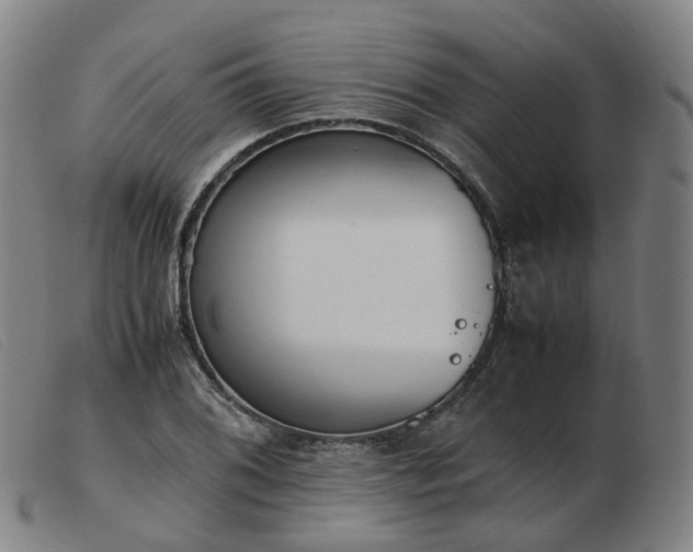 X0000103451076200809191742