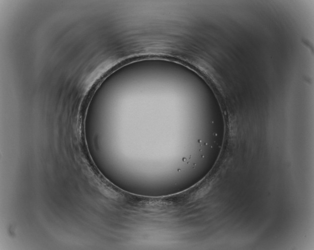 X0000103451077200809191742