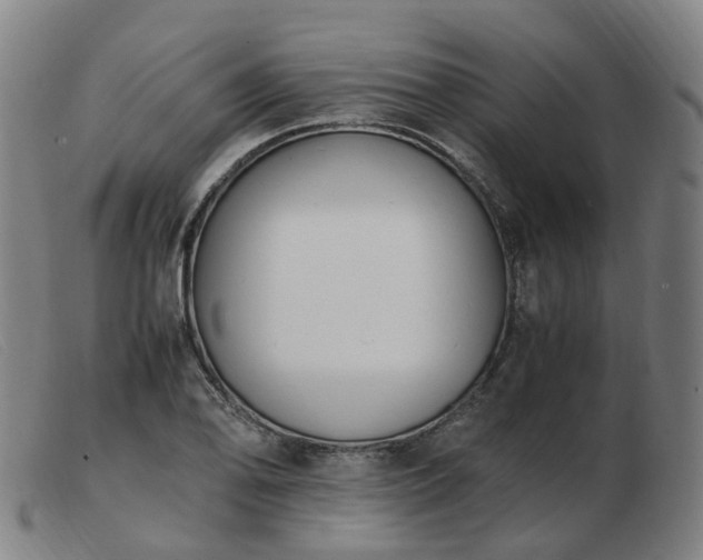 X0000103451078200809191742