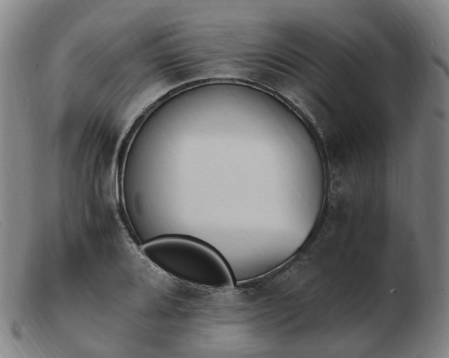 X0000103451080200809191742