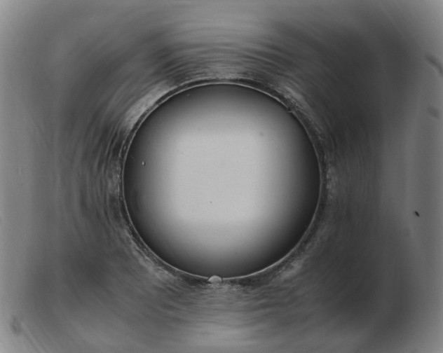 X0000103451081200809191742