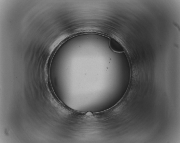 X0000103451082200809191742