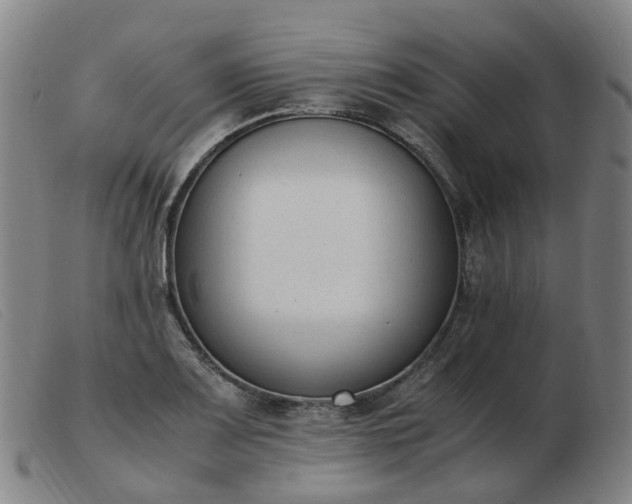 X0000103451083200809191742