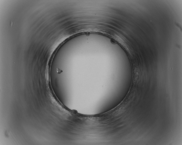 X0000103451084200809191742