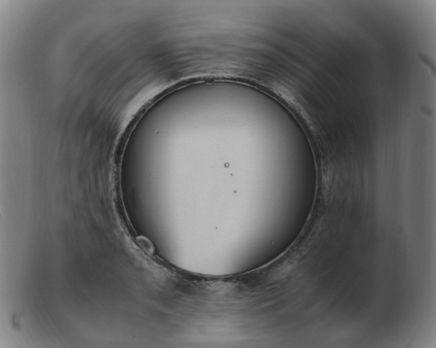 X0000103451085200809191742