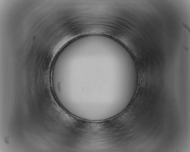 X0000103451086200809191742