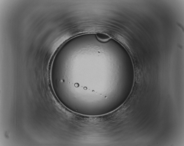 X0000103451087200809191742