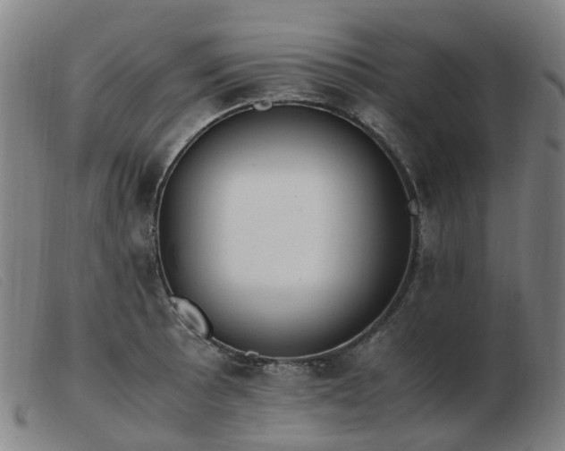 X0000103451089200809191742