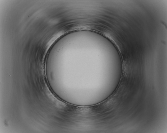 X0000103451090200809191742