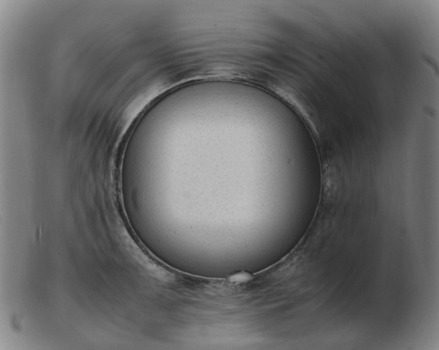 X0000103451091200809191742