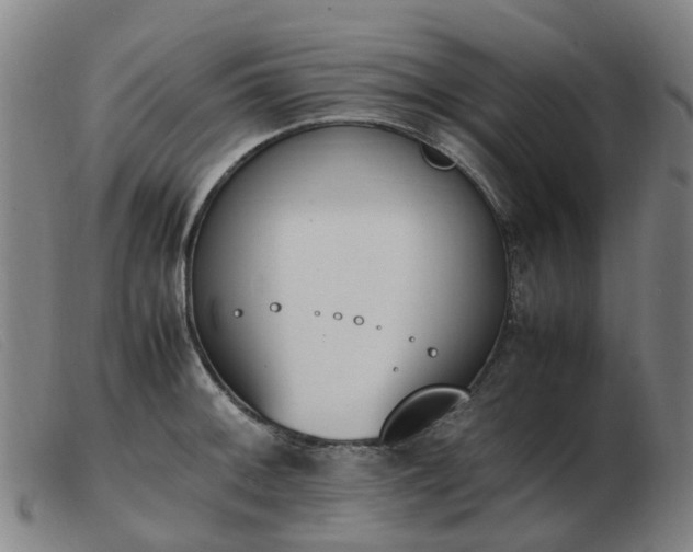 X0000103451092200809191742