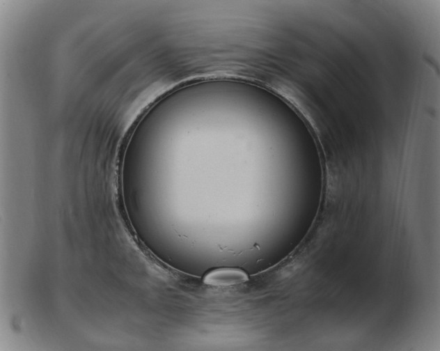 X0000103451093200809191742
