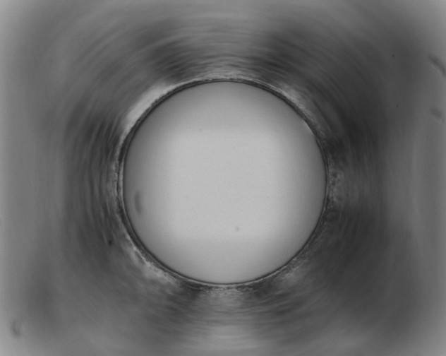 X0000103451094200809191742