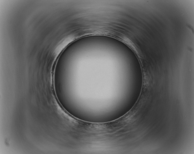 X0000103451095200809191742