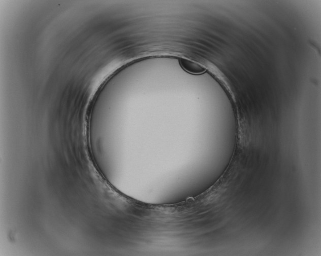 X0000103451096200809191742