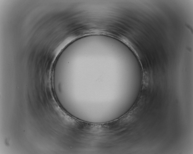 X0000103451098200809191742