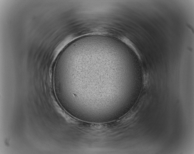 X0000103451099200809191742