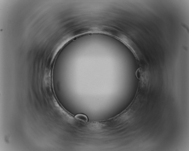 X0000103451100200809191742