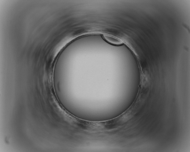 X0000103451101200809191742