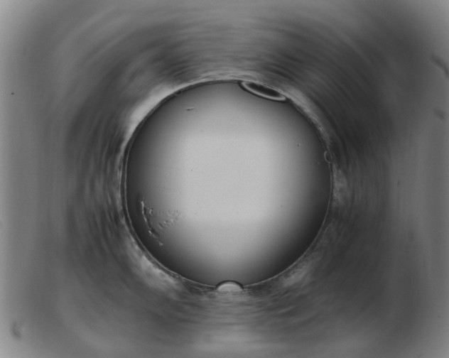 X0000103451102200809191742