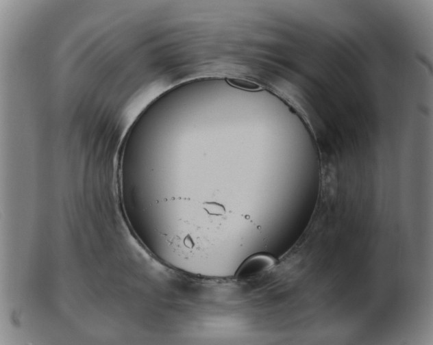 X0000103451103200809191742