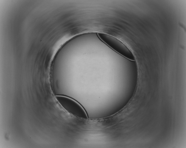 X0000103451104200809191742