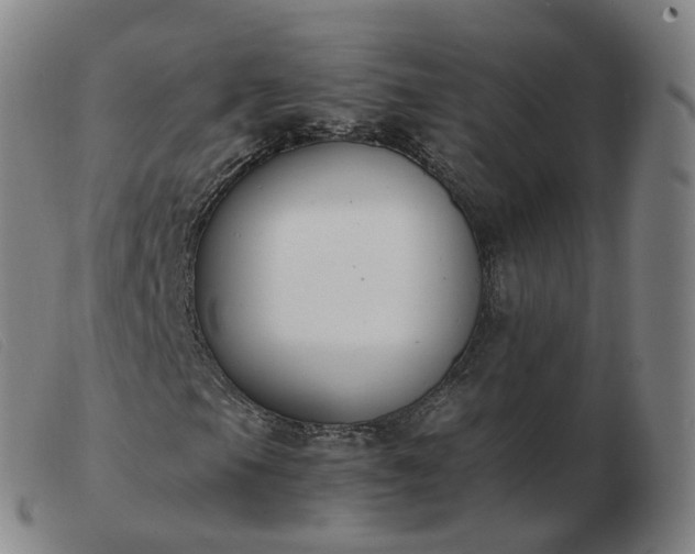 X0000103451105200809191741