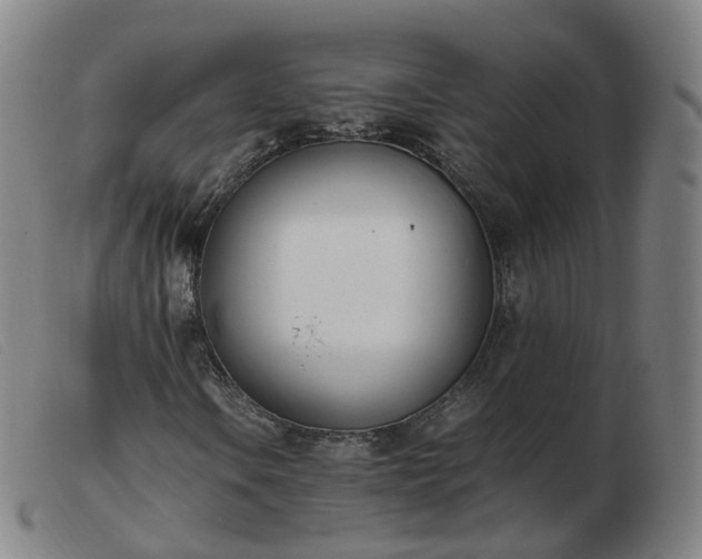 X0000103451106200809191741