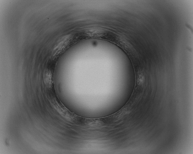 X0000103451108200809191741