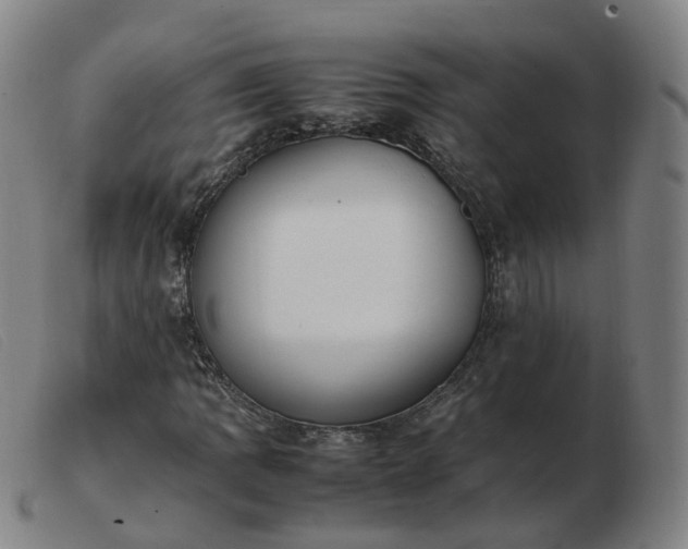 X0000103451109200809191741
