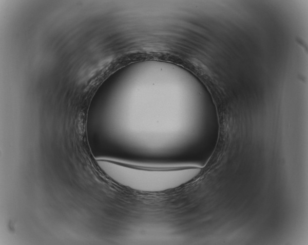 X0000103451110200809191741