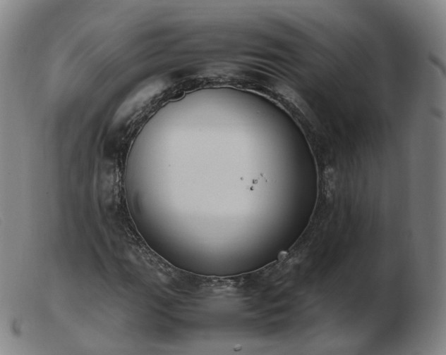 X0000103451111200809191741