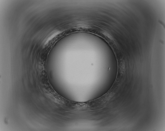 X0000103451112200809191741