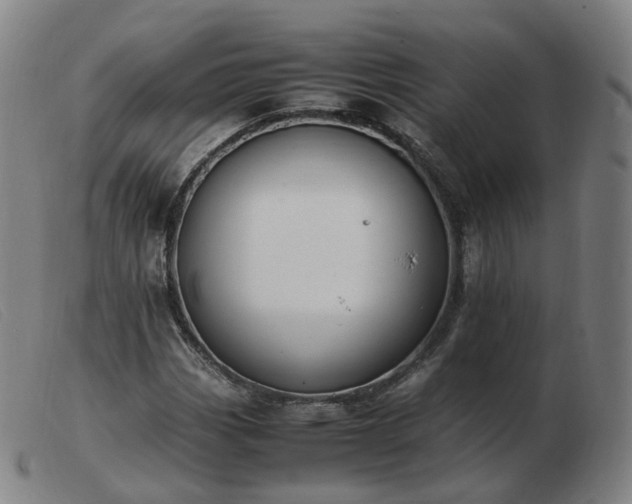 X0000103451113200809191741
