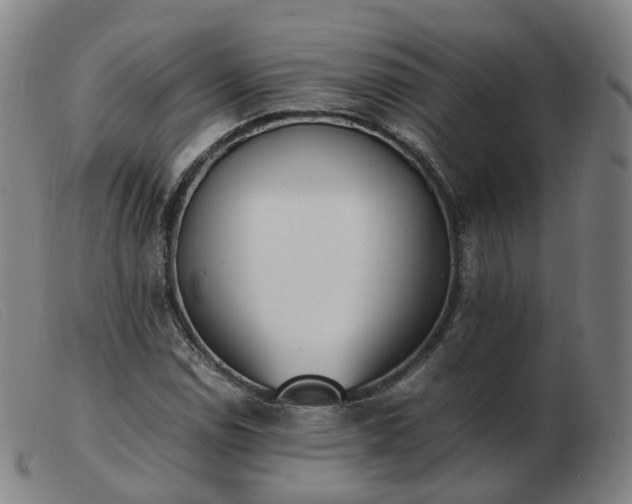 X0000103451114200809191741