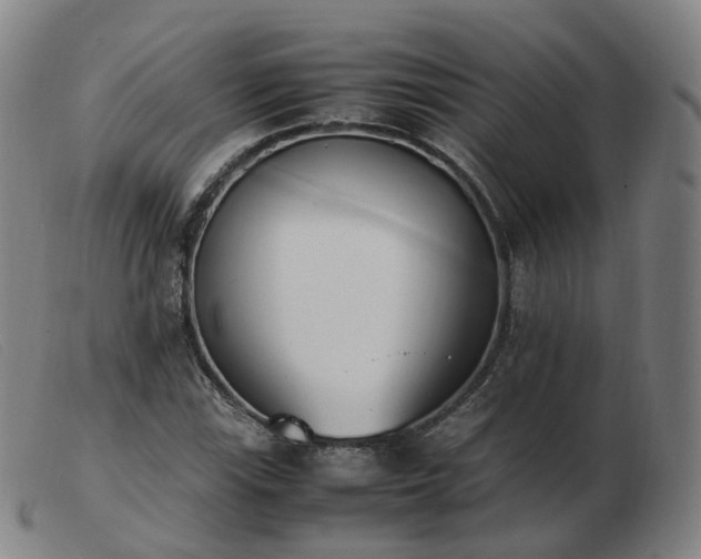 X0000103451115200809191741