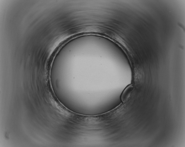 X0000103451116200809191741