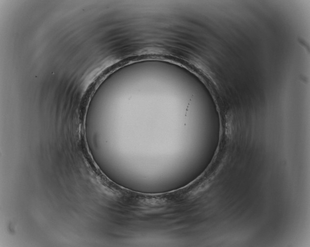 X0000103451117200809191741