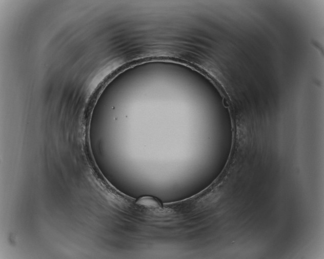 X0000103451119200809191741