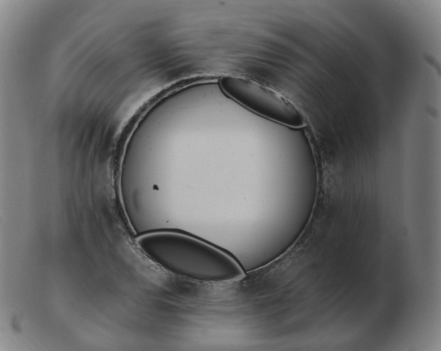 X0000103451120200809191741